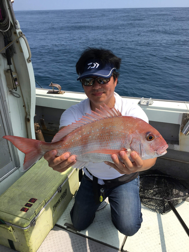 マダイの釣果