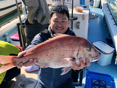 マダイの釣果