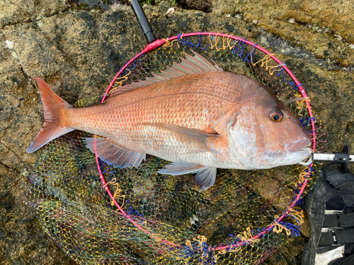 釣果