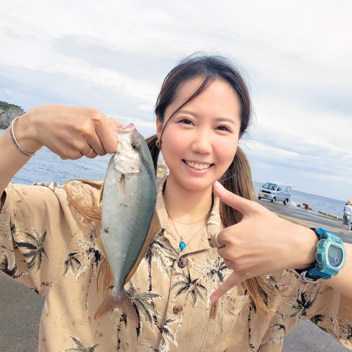 ショゴの釣果