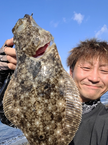 ヒラメの釣果