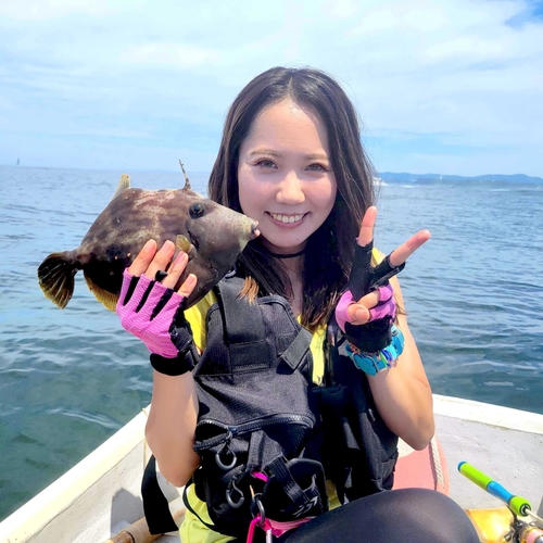 カワハギの釣果