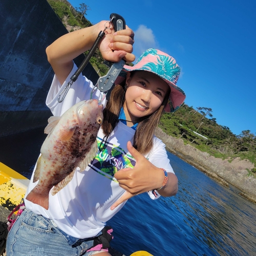 ブダイの釣果