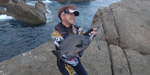 イシガキダイの釣果