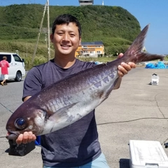 メダイの釣果