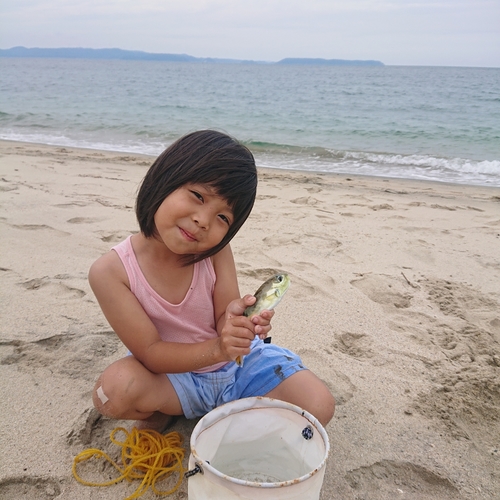 フグの釣果