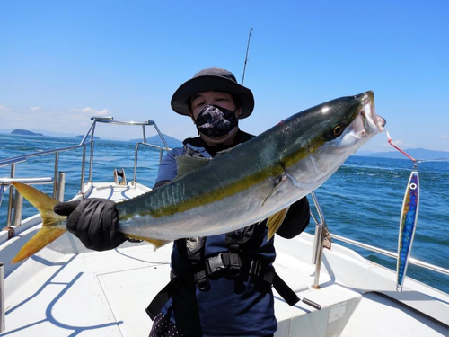 ハマチの釣果