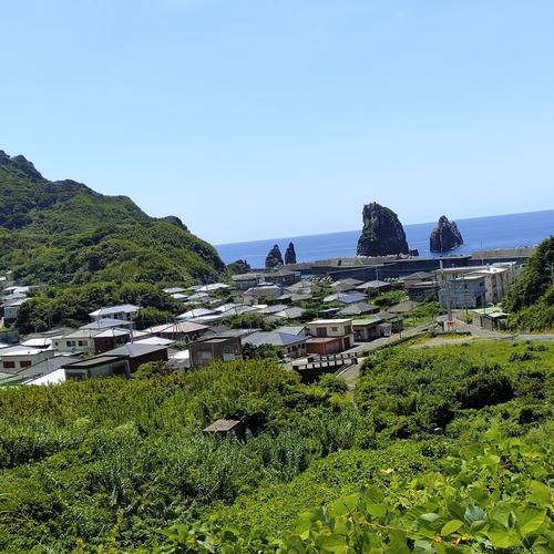 オニオコゼの釣果