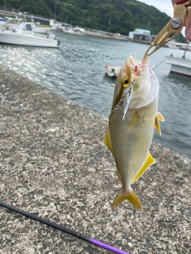 釣果