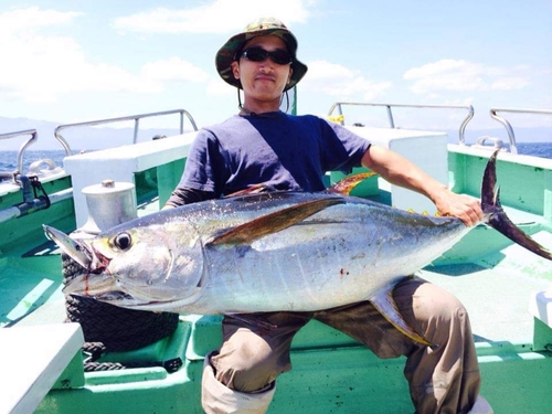 キハダマグロの釣果