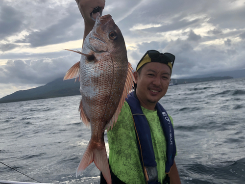 マダイの釣果