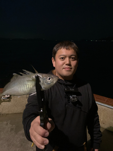 タチウオの釣果