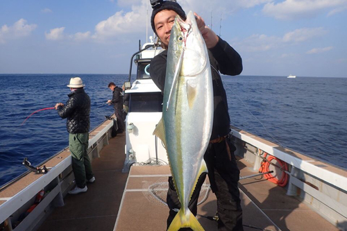 ブリの釣果