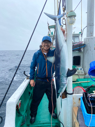 アオザメの釣果