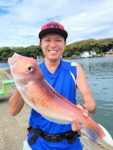 アマダイの釣果