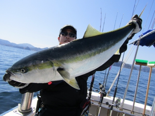 ブリの釣果