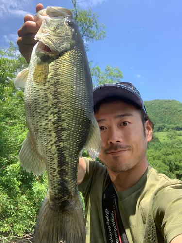 ラージマウスバスの釣果