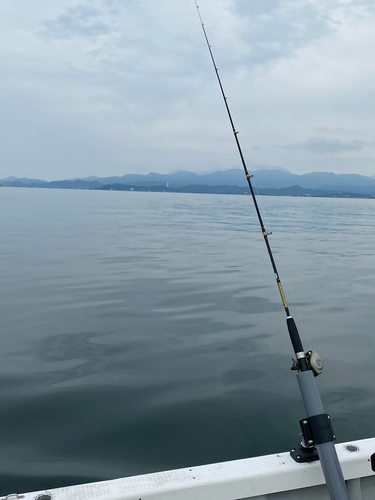 ビワマスの釣果