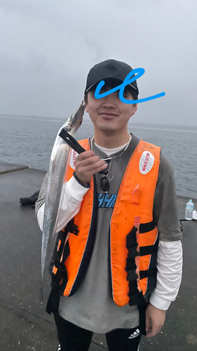 タチウオの釣果