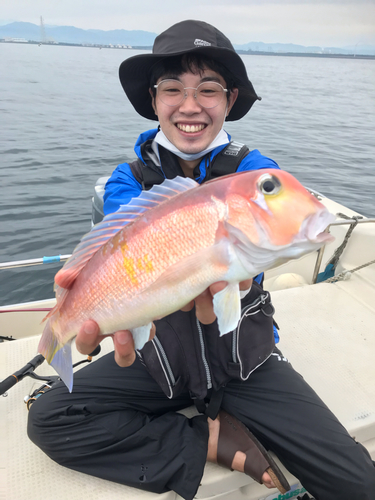 アマダイの釣果