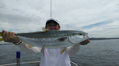 ワラサの釣果