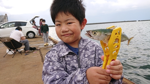 サバの釣果