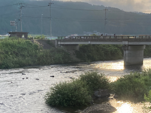 アユの釣果