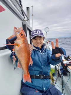 アカムツの釣果