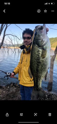 ブラックバスの釣果