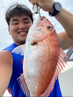 アカハタの釣果