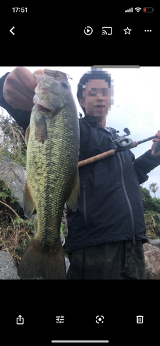 ブラックバスの釣果