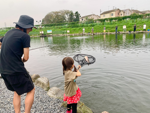 ニジマスの釣果