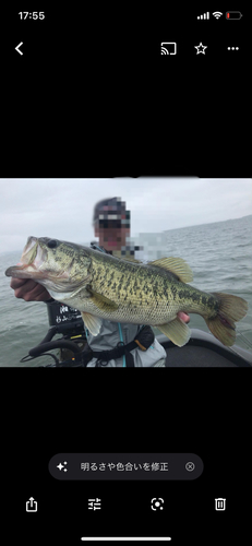 ブラックバスの釣果