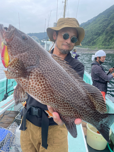 オオモンハタの釣果