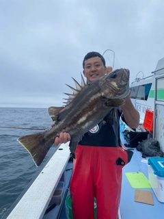 イシナギの釣果