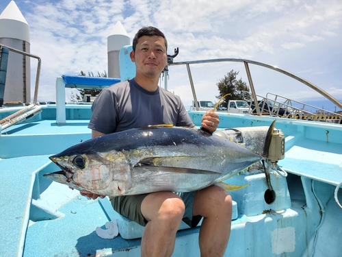 キハダマグロの釣果