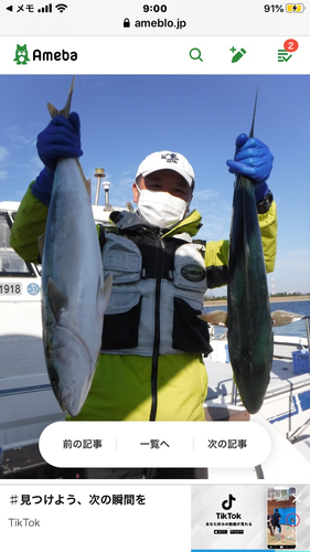 マダイの釣果