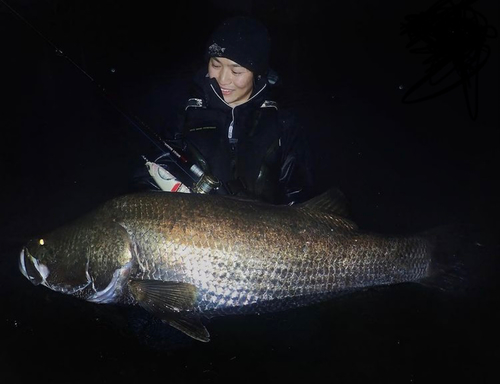 アカメの釣果