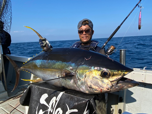 キハダマグロの釣果