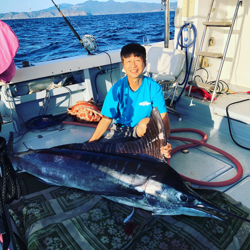 マカジキの釣果