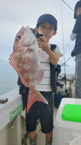 タイの釣果