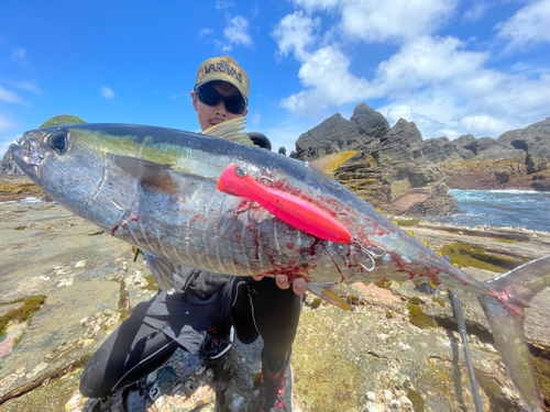 キハダマグロの釣果