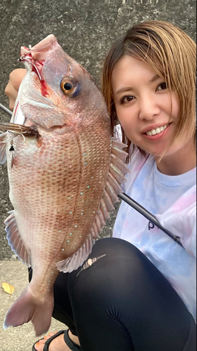 タイの釣果