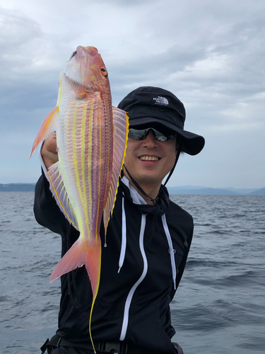 イトヨリダイの釣果