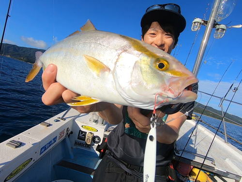 シオの釣果