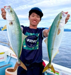 ハマチの釣果