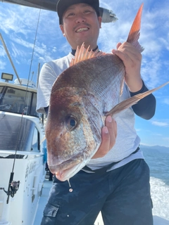 マダイの釣果