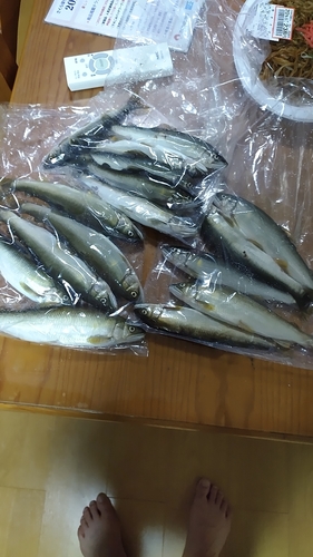 釣果