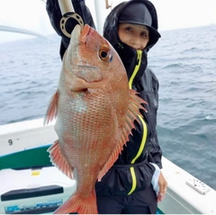 タイの釣果