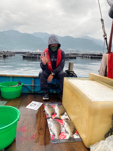 クロダイの釣果